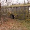 PzW.646 -widok od frontu dsc04586.jpg