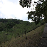 IMG_5672.JPG