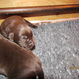 IMG_1220.JPG