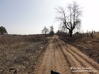 dsc06806.jpg