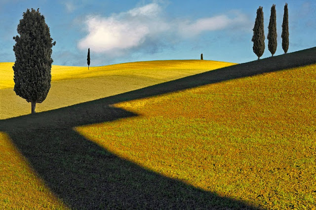 Tema Prosta_D_Dusan Miska_senca.jpg