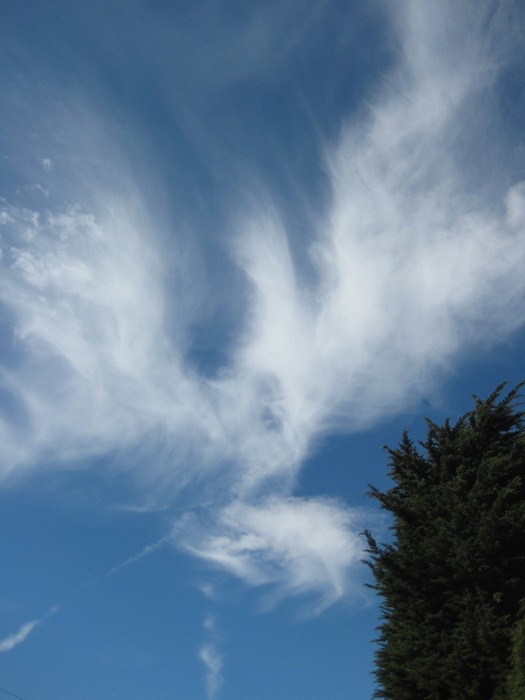 صور رائعة لغيوم تأخذ اشكالا مألوفة DOVEPAULES%25255B3%25255D