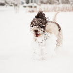 EMMIE-JAN11-6034.jpg