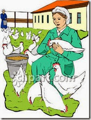 Woman_on_a_Chicken_Farm_Royalty_Free_Clipart_Picture_081128-257336-194042