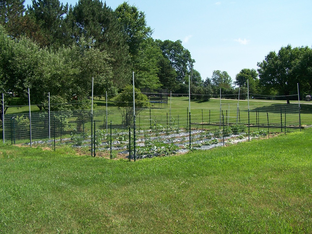 [100_2120%255B5%255D.jpg]