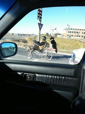 [viral-picdump-pics-729b84%255B2%255D.jpg]