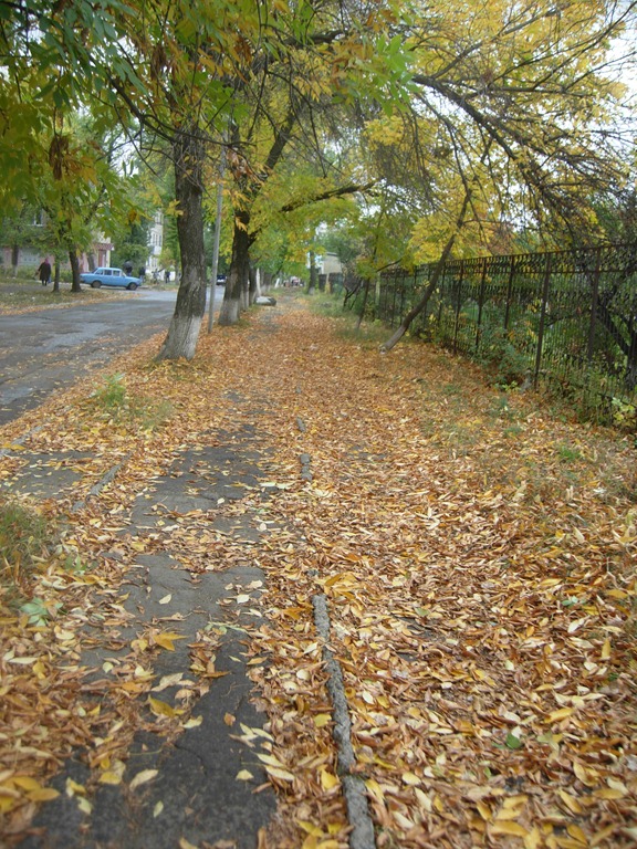 [DSCN06803.jpg]