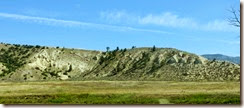 IMG_1309 IMG_1309