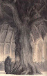 Wotan In Hunding Hall
