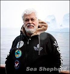 Paul Watson, acting as an observer, during Operation Zero Tolerance. Photo: Sea Shepherd