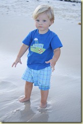 IMG_2613 IMG_2613