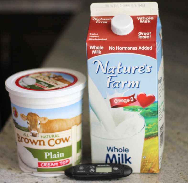 [homemade%2520yogurt%2520ingredients%255B5%255D.jpg]