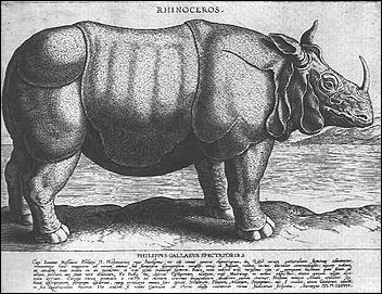 Philippe Galle, Le rhinoceros de Philippe II