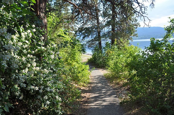 DSC_0659.JPG DSC_0659.JPG
