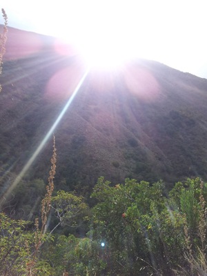 [20111119_082459_SantiagoPeak%255B8%255D.jpg]