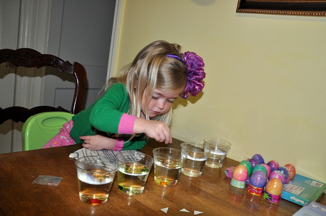 [easter%2520eggs%2521%2520033012%2520%25286%2529%255B6%255D.jpg]