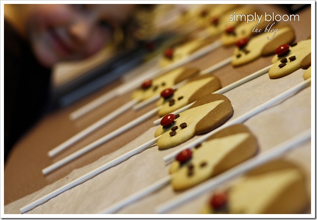 puppy pops (6 of 1)