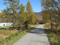 SAM_6710.JPG Photo