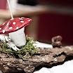 20111125-080.jpg