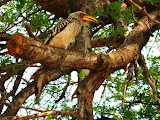 South Africa - 007.JPG