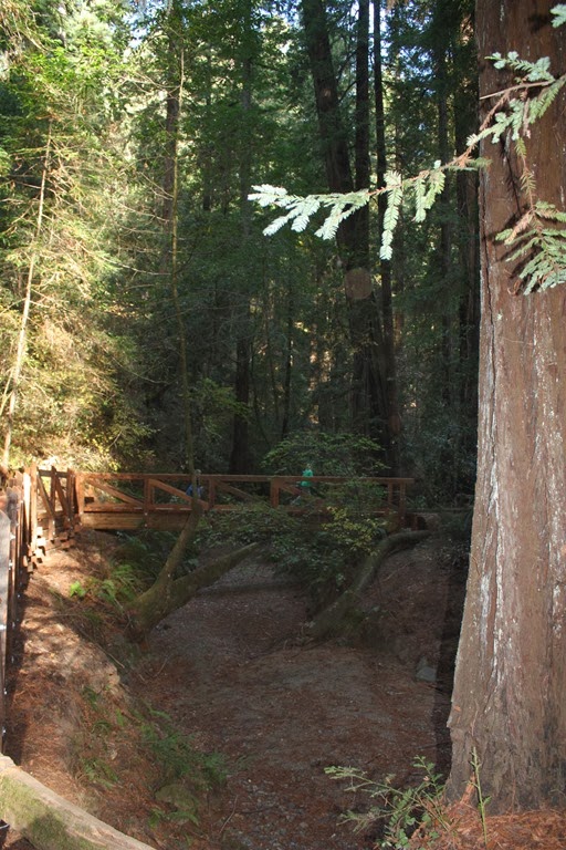 [CA%2520trip%2520with%2520Marlee%2520316%255B4%255D.jpg]
