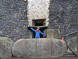 SAM_1771 SAM_1771