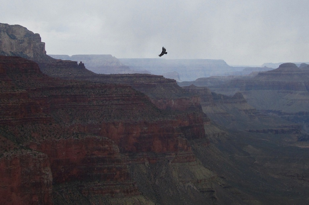 [Grand-Canyon58-13-Apr-20125.jpg]