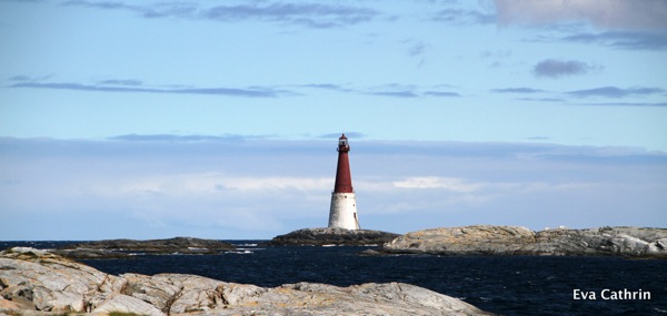 IMG 9967