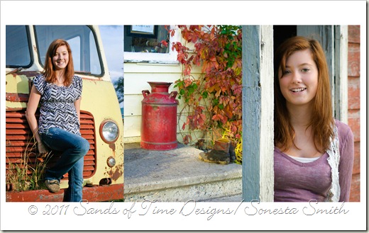joyturner_triptych2