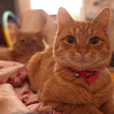 2011-01 Alex & Conan