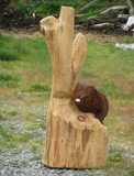 IMG_7263 IMG_7263