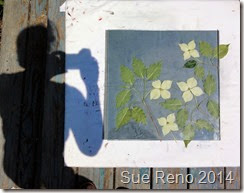 Sue Reno, Kousa Dogwood, work in progress