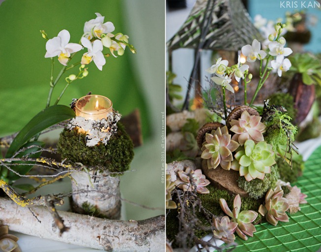 02t1 kris kan and tic tock floral 02t1 kris kan and tic tock floral