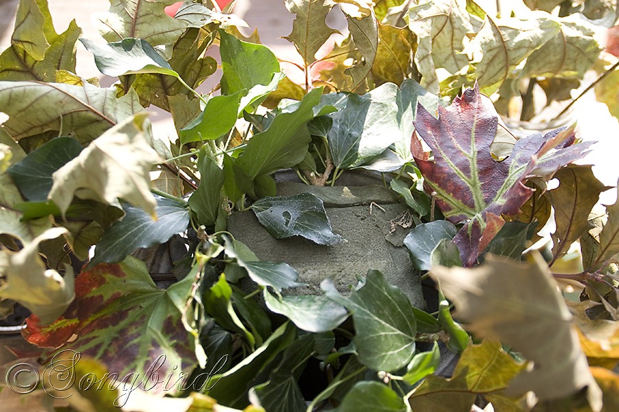 [Fall-Outside-Decoration-Table-Center%255B16%255D.jpg]