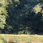 photoIMG_3692.jpg