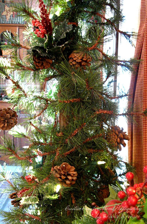 [IMG_25733.jpg]