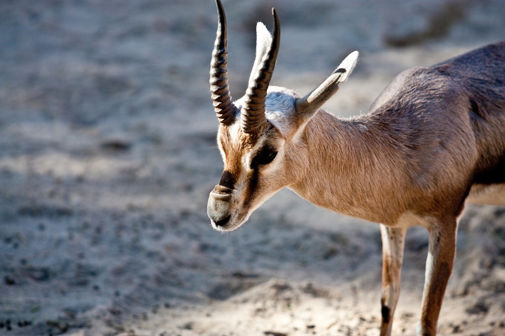 [20111231-IMG_0271%255B4%255D.jpg]