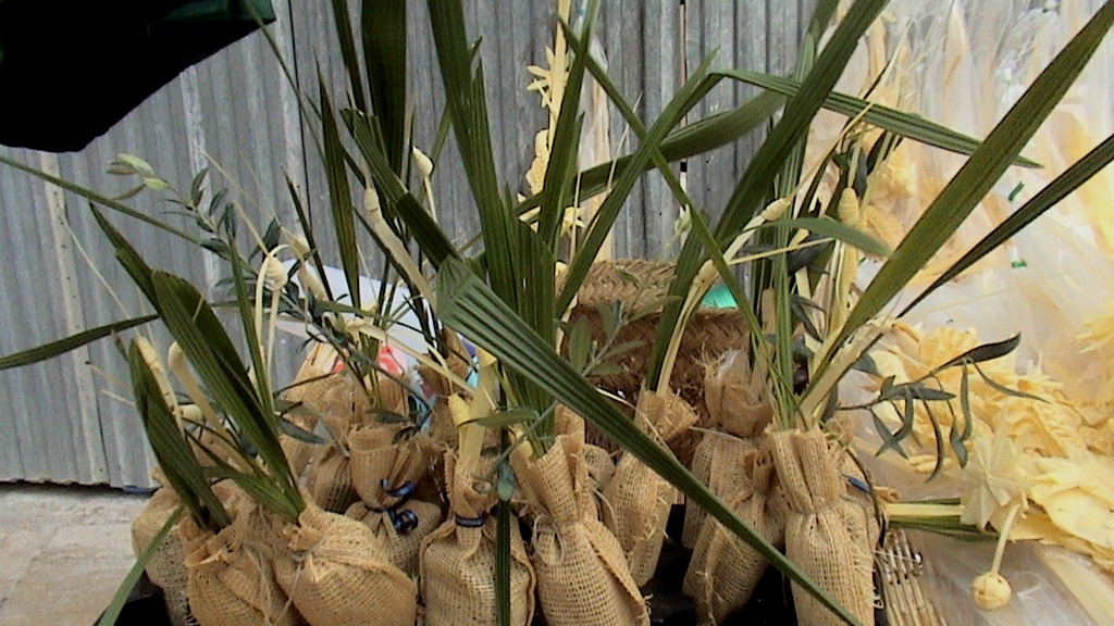 [011%255B7%255D.jpg]