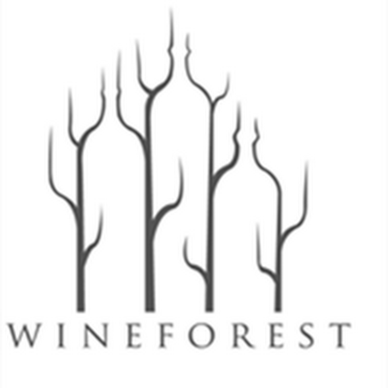 12 minimalistas logotipos con espacios negativos