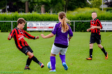 20140614 - WVV D4 - BATO TOERNOOI - 012.jpg