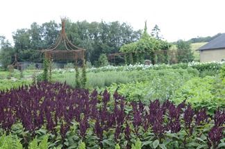 20110731_162925