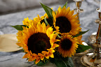 And the sunflowers are magnificent!