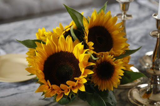 And the sunflowers are magnificent!