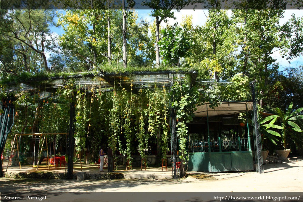 [IMG_2725%255B3%255D.jpg]