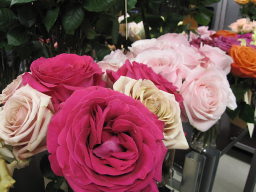 Take a look at how perfect the petals are.