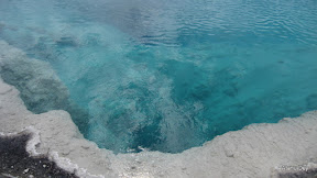 IMG_4161.jpg