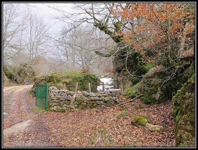 artea 005 artea 005