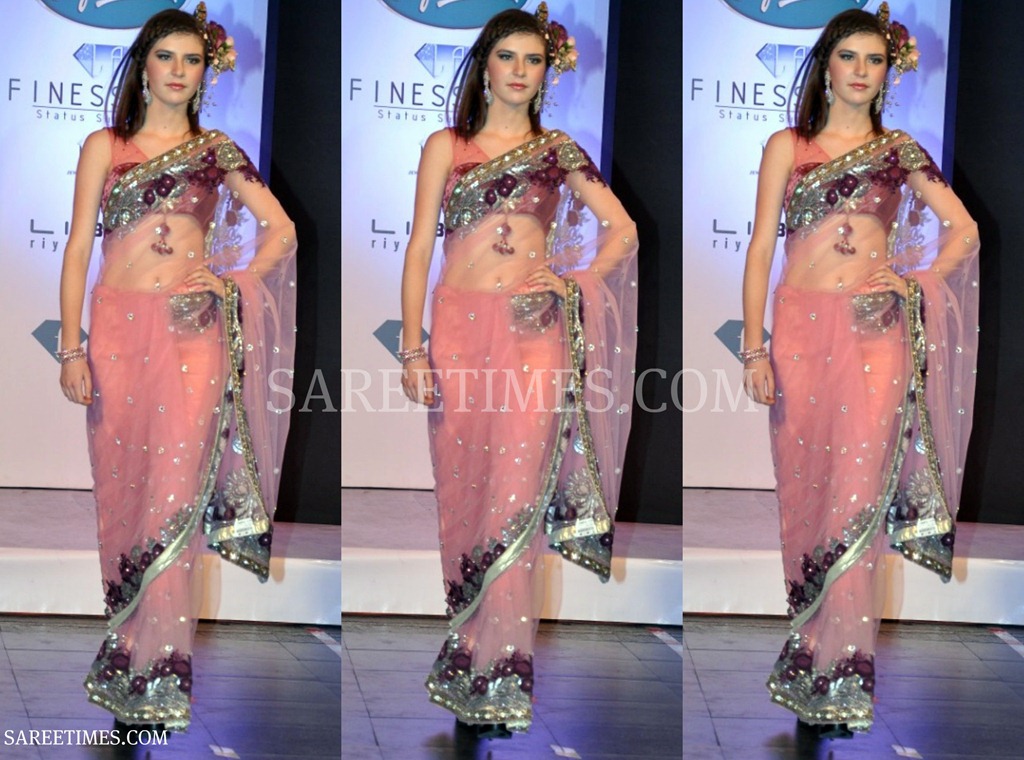 [Pink_Designer_Shimmer_Saree%255B3%255D.jpg]