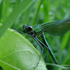 dsc03428.jpg