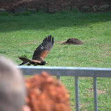 Cub Pack Holiday - Skreens Park 2012 - DSC_0129.jpg